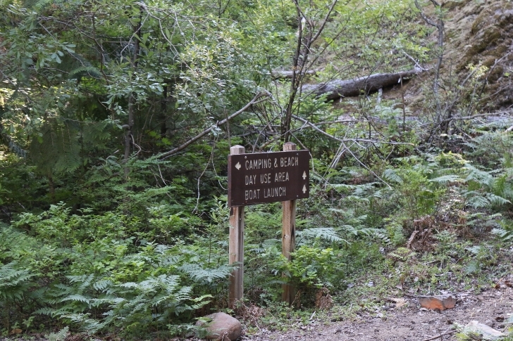 Camping in Washingtons Kachess Campground.
